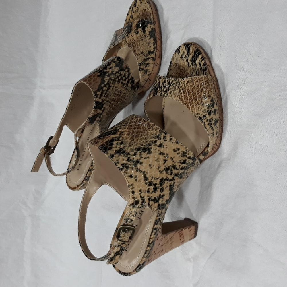High heel dress shoes